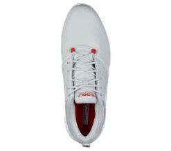 Skechers GO GOLF Torque - Pro -Skechers Central 214002 GYRD B